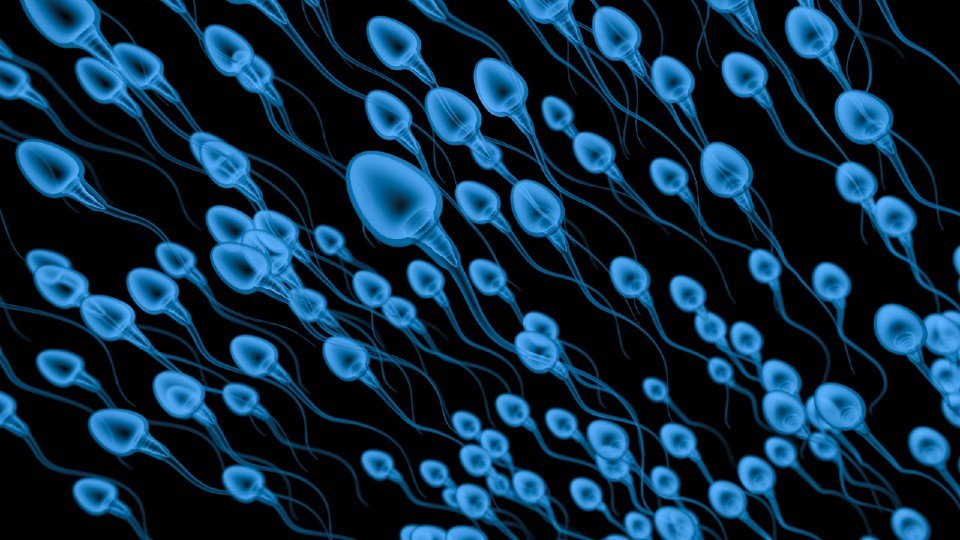 Cientistas descobrem como os micronadadores se movem mais rápido em grupos – abrindo caminho para pequenos robôs entregadores de drogas