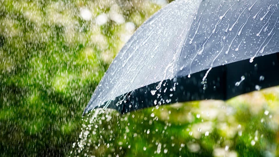 Avaliação dos riscos das alterações climáticas | Notícias e eventos
