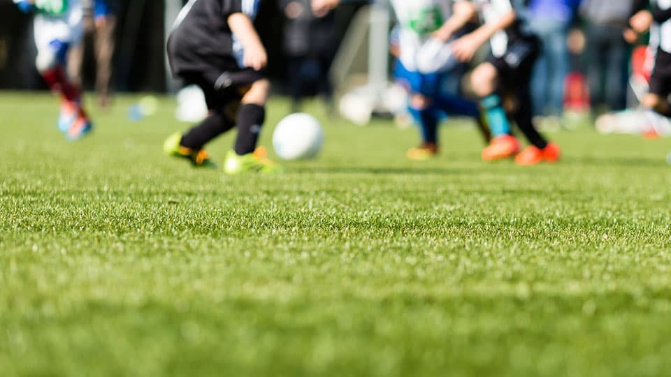 Desafio de resíduos de grama artificial | Notícias e eventos