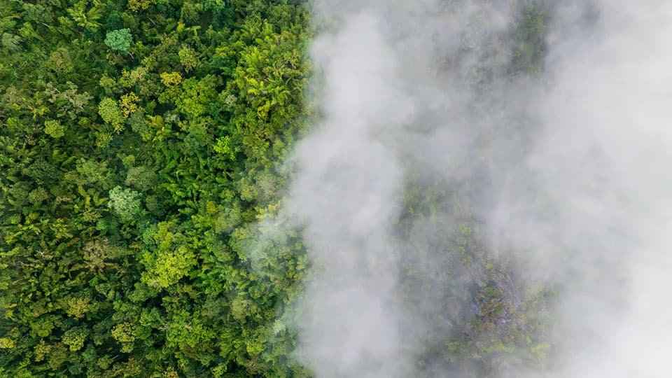 Nova Estrutura PACER ajuda pesquisadores a medir o impacto de carbono de seu trabalho | Notícias e eventos