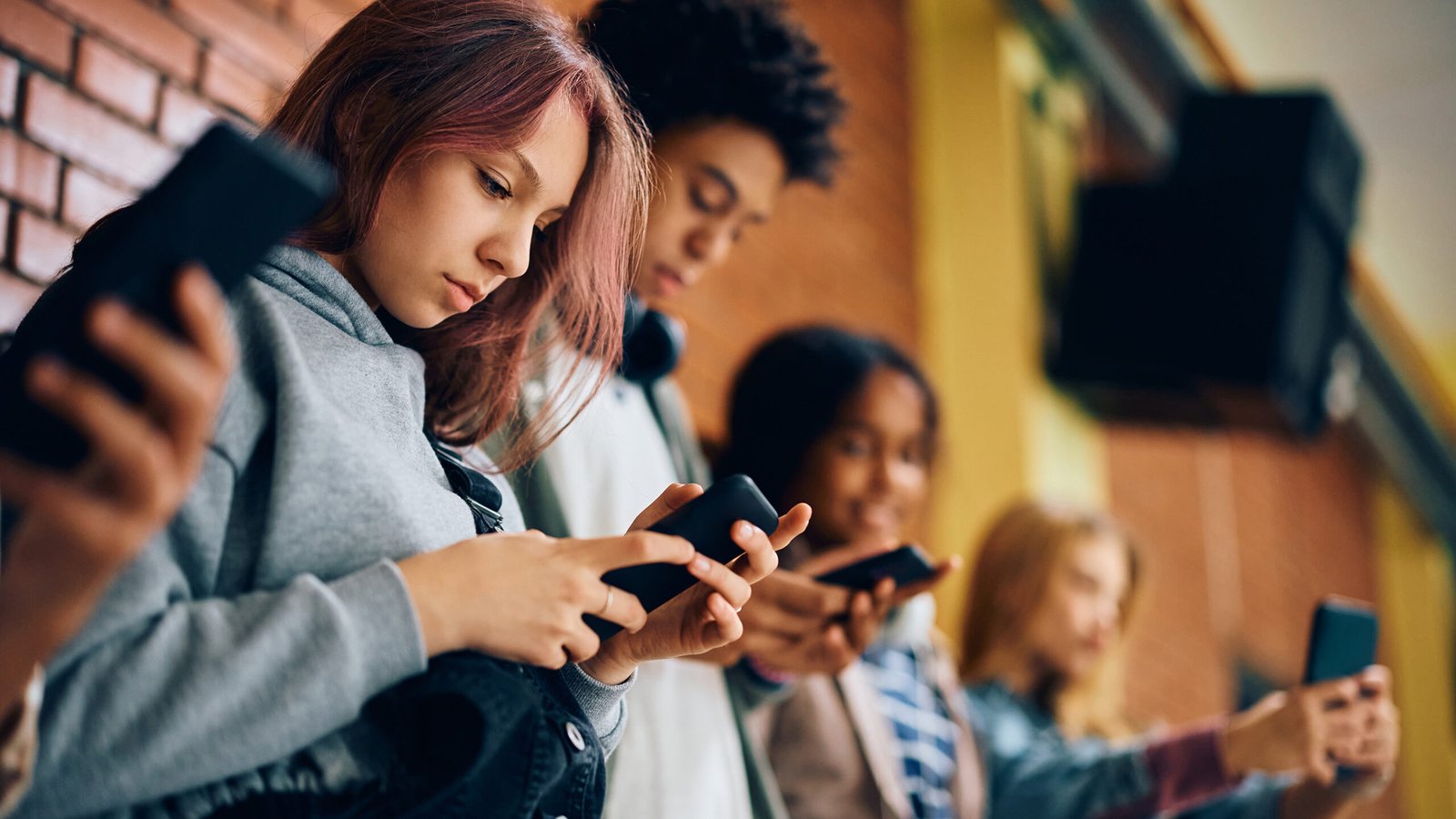Os efeitos da proibição das redes sociais podem levar tempo | Notícias e eventos